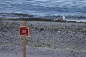 Bulgarija, Rumunija ir Turkija pasirašys susitarimą dėl Juodosios jūros išminavimo