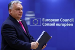 Čekijos ministras: V. Orbánas – Trojos arklys