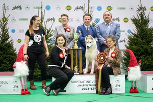 Vilniuje metus vainikavo įspūdinga šunų paroda: iš 1400 gyvūnų – vos 3 nugalėtojai