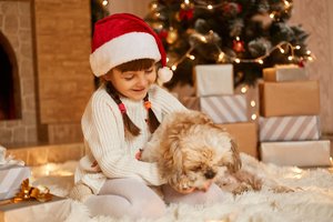 „Kalėdoms noriu šuniuko“: kinologė pasakė, ką reikėtų įvertinti prieš pildant šį vaiko norą