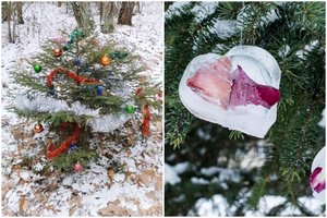 Kėdainių rajono gyventojus stebina miške papuošta eglutė: gamtininkas patarė, kaip pasigaminti gamtai draugiškus žaisliukus 