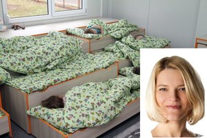 Darželio, kuriame jau trejus metus vaikai gali nemiegoti, vadovė: vieni mato problemą, aš – galimybę