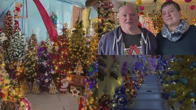 Kalėdinė dvasia namuose garantuota: aistringas kolekcininkas papuošė daugiau nei 550 eglučių