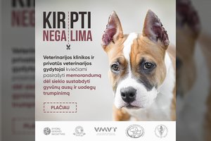 Lietuvos veterinarai kviečiami vienytis – siekiama stabdyti nelegalų gyvūnų ausų ir uodegų trumpinimą