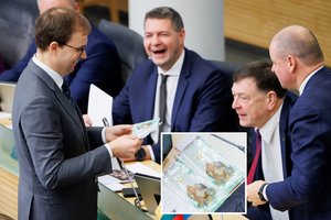 Iš kalėjimo į savo apkaltos procedūrą atvykusiam V. Gapšiui – šventinė S. Skvernelio dovana