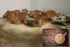 Naujas atradimas: didžiausių senovės miestų gyventojai maitinosi daugiausia žirniais