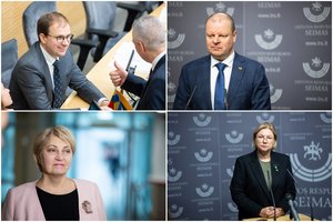 Demokratų frakcija „Vardan Lietuvos“ pradėjo rinkti parašus dėl pirmalaikių Seimo rinkimų