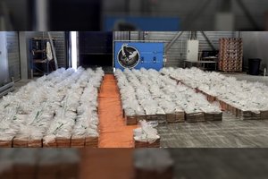 Nyderlandų muitinė tarp bananų aptiko 1200 kilogramų kokaino