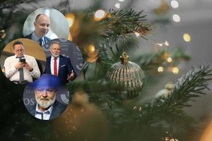 Kaip Kalėdas sutiks Seimo nariai: dešimtys giminių, didžiulė žąsis ir sulaužyta tradicija