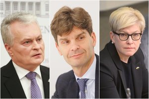 Naujausi prezidentiniai reitingai: užtikrintas lyderis ir nuo I. Vėgėlės gerokai atsiliekanti I. Šimonytė 