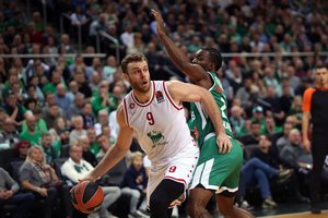 N. Melli gali sulaukti dosnaus „Partizan“ siūlymo