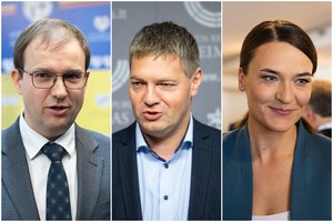 Seimo pavasario sesijoje ketinama įkalinimo bausmę atliekantį V. Gapšį šalinti iš ERK pirmininko pavaduotojo pareigų