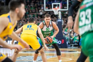 E. Sumnerį pagyręs E. Ulanovas: „Atrodo, kad vienas klaidas pataisai, tada kitos vėl išlenda“