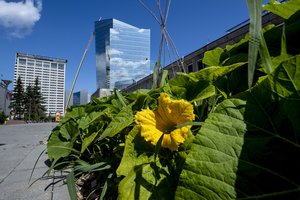  Verslo centro „Artery“ savininkai išpirko skolą – obligacijoms atseikėjo 55 mln. eurų 