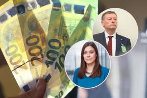 I. Genytė-Pikčienė ir V. Janulevičius papasakojo, kaip Lietuva gyvens šiemet: kam reikia ruoštis