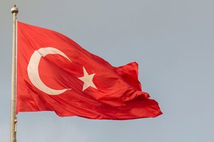 Turkija sulaikė 56 Interpolo ieškomus įtariamuosius
