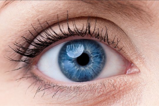 Mutacija, dėl kurios akys tampa mėlynos, atrodo ne tik įdomi, bet ir visai nenaudinga.