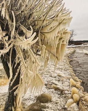 Susiformavusios ledo skulptūros Nidoje. <br>A.Miežansko nuotr. 