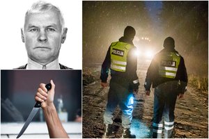 Žvėriška žmogžudystė Šilutės rajone: 28 smūgius peiliu žmonai smogęs šeimos siaubūnas taškėsi kaltinimais aukai