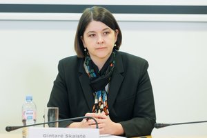 G. Skaistė: galime susitarti dėl gynybos mokesčio, bet pirma reikia nuspręsti, kurie gynybos klausimai yra prioritetiniai