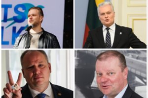 Opozicija piktinasi konfliktu dėl ambasadorių: G. Nausėda turi dar vieną kozirį – skelbti nepasitikėjimą G. Landsbergiu