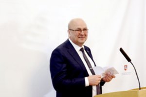 V. Matijošaitis – apie „Vičiūnų grupės“ įtraukimą į karo rėmėjų sąrašą: tai nepadės greičiau parduoti verslo