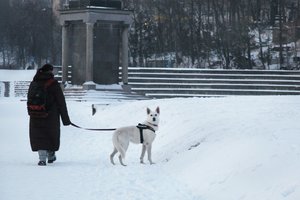 Pasiruoškite šiltesnius drabužius – šaltis spaus dar labiau: praneša, kas laukia savaitgalį