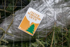 Šventės baigėsi: ekspertas priminė, kaip tinkamai atsisveikinti su eglute ir neįtikusiomis dovanomis