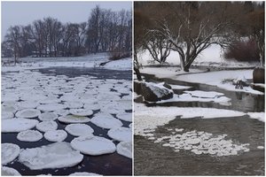 Žiema toliau stebina įvairiais reiškiniais: fiksuojami „ledo blyneliai“