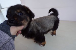 Prie šiukšlių konteinerio – „kalėdinė dovana“, iš kurios dar buvo ir skaudžiai pasityčiota