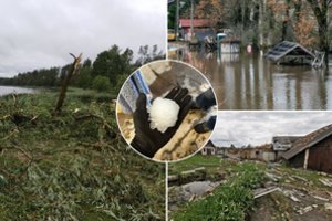 LHMT apžvelgė 2023 m. gamtos reiškinius: „Labiausiai tinkantis žodis būtų ekstremalūs metai“