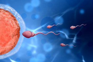 Kiaušialąsčių užšaldymą renkasi ir dėl karjeros: dažniausiai tam ryžtasi išsilavinusios, daugiau uždirbančios ir vienišos