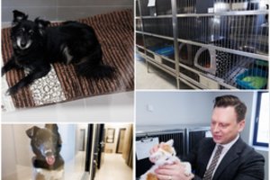 Po rekonstrukcijos duris atvėrė Vilniaus gyvūnų globos namai: remontas savivaldybei atsiėjo daugiau nei 2,7 mln. eurų