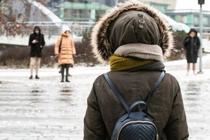 Medikė apie Lietuvą sukausčiusį šaltį: „Speigas aukų nepareikalavo“