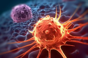 Vitaminas, kurio nauda atima žadą: lėtina senėjimą ir saugo nuo vėžio