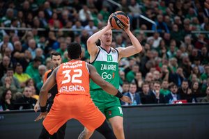 Dvigubą savaitę Ispanijoje pasitinkantis R. Šmitas: „Keliaujame kovoti dėl dviejų pergalių“