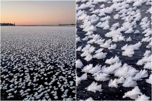 Užburiantis vaizdas Šventojoje – susiformavo „šalčio gėlės“