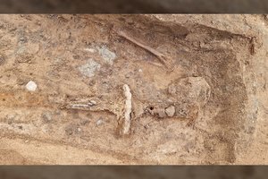 Aptiko tikro milžino kapą su įspūdingu kalaviju