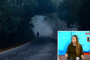 Ekspertė apžvelgė vaikų dingimo atvejus: įvardijo, kokios dažniausios priežastys