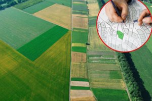 Valstybinės žemės sklypai patikėti valdyti savivaldybėms: atskleidė, kiek tūkstančių hektarų perduota