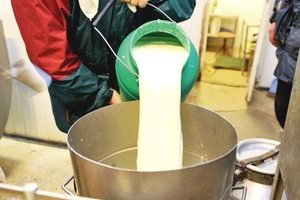 Kaip apgaudinėjami pirkėjai: importinius pieno produktus parduoda kaip lietuviškus