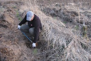 Miškų savininkai pasipiktinę – rengs protesto akciją, keliuose pasirodys miško technika