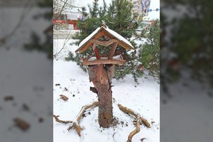 Svarbu ne tik tai, kuo lesinate: papasakojo, kaip pasigaminti sparnuočiams tinkančią lesyklą