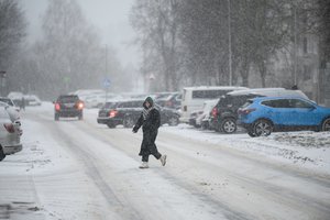 Po intensyvaus snygio – sinoptikų žinia: pusnys sparčiai augs, šalčio pojūtį didins žvarbus vėjas
