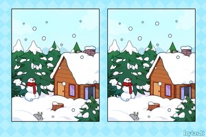 Žiemiškas vaizdelis: suraskite 5 skirtumus per pusę minutės