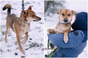 Nuostabaus charakterio Spragėsis ieško savo žmogaus: įspėja dėl kelių dalykų