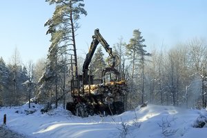 Protestuoti pradėjo ir miškų savininkai – sunkiąja technika juda Kėdainių link