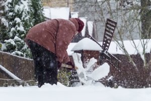 M. Navickienė nesutinka, kad pagal pensijos santykį su alga užimame paskutinę vietą: „Mūsų modelis geras“