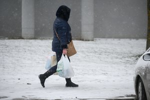 Žvarbus vėjas toliau kels pūgas – gūsiai sieks 18 m/sek.