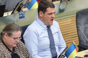 I. Makaraitytė pateikė ieškinį R. Žemaitaičiui: reikalauja pripažinti, kad parlamentaro įrašas žemina jos orumą